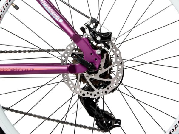Bicicleta MTB Topmega Flamingo Violeta R26 - (03)
