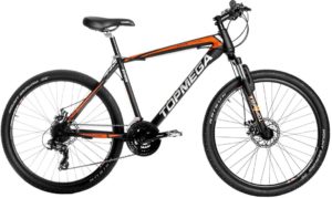 Bicicleta Topmega Rowen R26 Naranja - Perfil